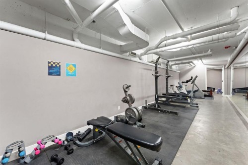 302-515 4 Avenue Ne, Calgary, AB - Indoor Photo Showing Gym Room