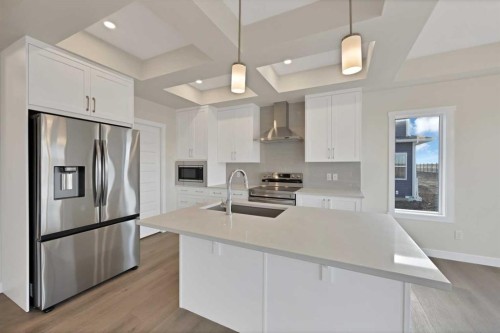 135 Homestead Common Ne, Calgary, AB - Indoor Photo Showing Kitchen With Stainless Steel Kitchen With Upgraded Kitchen