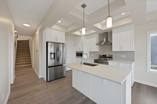 135 Homestead Common Ne, Calgary, AB - Indoor Photo Showing Kitchen With Stainless Steel Kitchen With Upgraded Kitchen