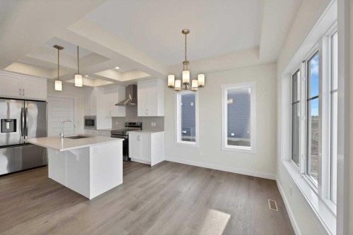 135 Homestead Common Ne, Calgary, AB - Indoor Photo Showing Kitchen With Stainless Steel Kitchen With Upgraded Kitchen
