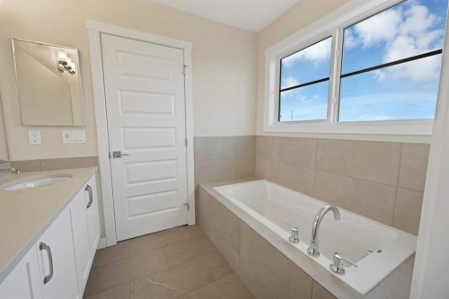 135 Homestead Common Ne, Calgary, AB - Indoor Photo Showing Bathroom