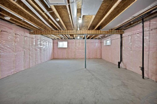 135 Homestead Common Ne, Calgary, AB - Indoor Photo Showing Basement
