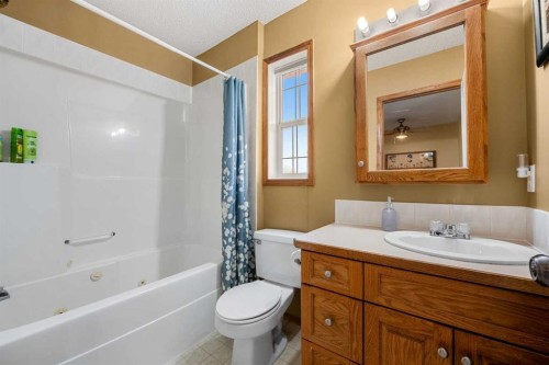 132 Bow Ridge Drive, Cochrane, AB - Indoor Photo Showing Bathroom