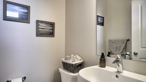 393 Walden Parade Se, Calgary, AB - Indoor Photo Showing Bathroom