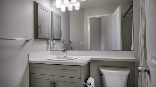 393 Walden Parade Se, Calgary, AB - Indoor Photo Showing Bathroom