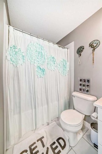 105 Mckenzie Towne Square Se, Calgary, AB - Indoor Photo Showing Bathroom