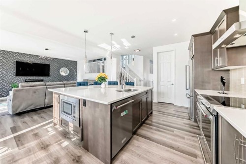 73 Carrington Circle Nw, Calgary, AB - Indoor Photo Showing Kitchen With Double Sink With Upgraded Kitchen
