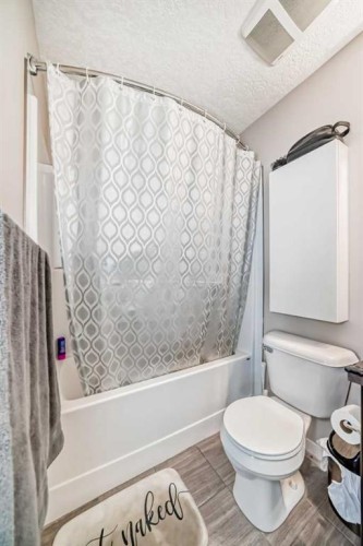 656 Copperpond Boulevard Se, Calgary, AB - Indoor Photo Showing Bathroom