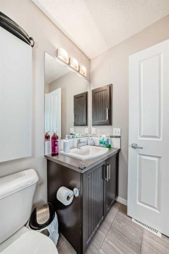 656 Copperpond Boulevard Se, Calgary, AB - Indoor Photo Showing Bathroom