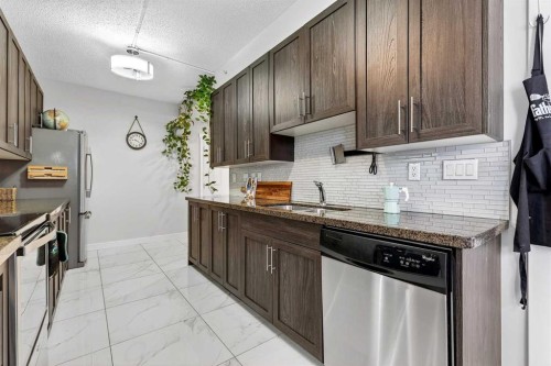 301-2316 17B Street Sw, Calgary, AB 