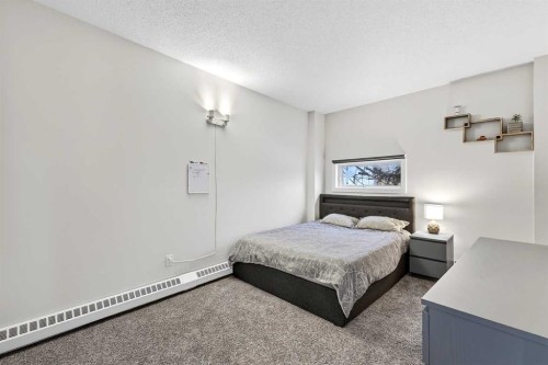 301-2316 17B Street Sw, Calgary, AB 