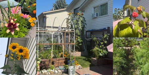 70 Midridge Gardens Se, Calgary, AB - Indoor