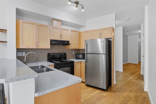 209-1000 15 Avenue Sw, Calgary, AB - Indoor Photo Showing Kitchen With Double Sink