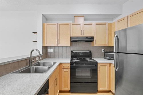 209-1000 15 Avenue Sw, Calgary, AB - Indoor Photo Showing Kitchen With Double Sink