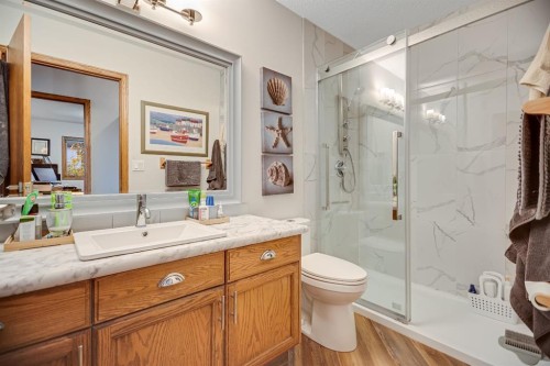 607 9 Street Se, High River, AB - Indoor Photo Showing Bathroom