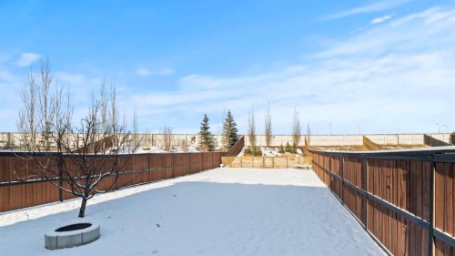 158 Covemeadow Road Ne, Calgary, AB - Outdoor With Backyard