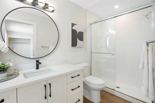 248 Madeira Place Ne, Calgary, AB - Indoor Photo Showing Bathroom