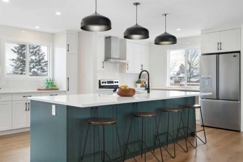 248 Madeira Place Ne, Calgary, AB - Indoor Photo Showing Kitchen With Upgraded Kitchen