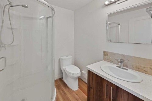 67 Copperstone Circle Se, Calgary, AB - Indoor Photo Showing Bathroom