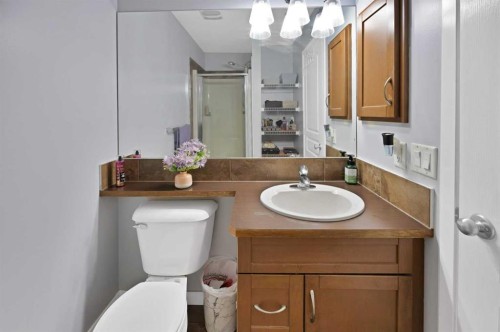 67 Copperstone Circle Se, Calgary, AB - Indoor Photo Showing Bathroom