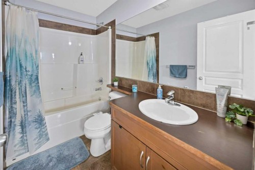 67 Copperstone Circle Se, Calgary, AB - Indoor Photo Showing Bathroom