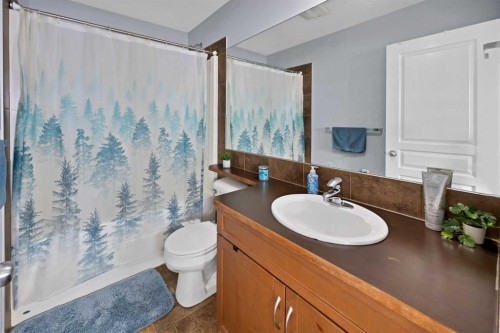 67 Copperstone Circle Se, Calgary, AB - Indoor Photo Showing Bathroom
