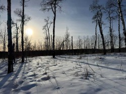 3-5228 Highway 579  Rural Mountain View County, AB T0M 2E0