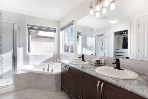 26 Skyview Ranch Street Ne, Calgary, AB - Indoor Photo Showing Bathroom