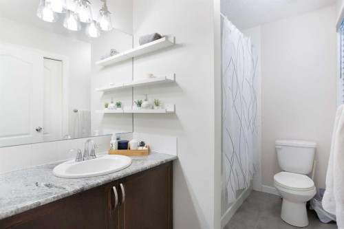 26 Skyview Ranch Street Ne, Calgary, AB - Indoor Photo Showing Bathroom