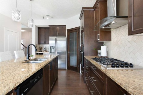 26 Skyview Ranch Street Ne, Calgary, AB - Indoor Photo Showing Kitchen With Double Sink With Upgraded Kitchen