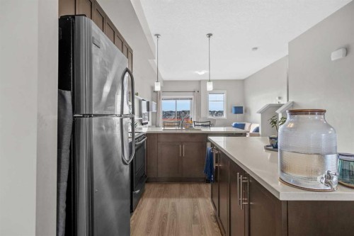 51 Redstone Circle Ne, Calgary, AB - Indoor Photo Showing Kitchen With Stainless Steel Kitchen With Double Sink With Upgraded Kitchen