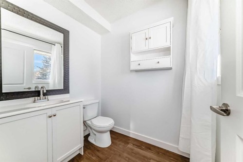 60 Erin Mount Crescent Se, Calgary, AB - Indoor Photo Showing Bathroom