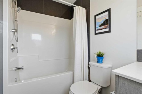 70-111 Rainbow Falls Gate, Chestermere, AB - Indoor Photo Showing Bathroom