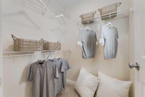 585 Savanna Drive Ne, Calgary, AB - Indoor With Storage