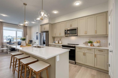 585 Savanna Drive Ne, Calgary, AB - Indoor Photo Showing Kitchen With Double Sink With Upgraded Kitchen