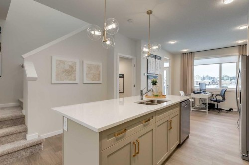 585 Savanna Drive Ne, Calgary, AB - Indoor Photo Showing Kitchen With Double Sink