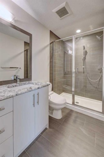 2-308 12 Avenue Ne, Calgary, AB - Indoor Photo Showing Bathroom