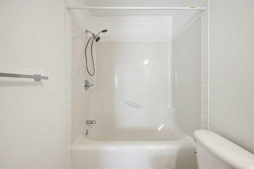 132 Royal Birch Mount Nw, Calgary, AB - Indoor Photo Showing Bathroom