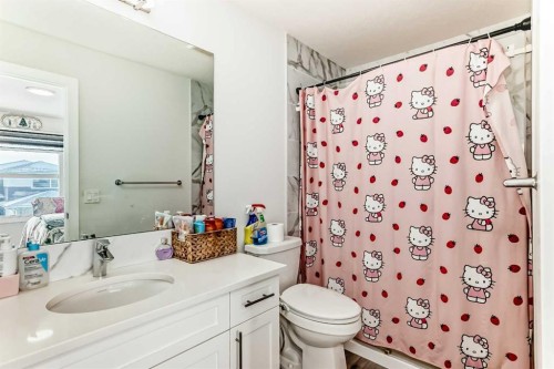 6 Corner Meadows Grove Ne, Calgary, AB - Indoor Photo Showing Bathroom