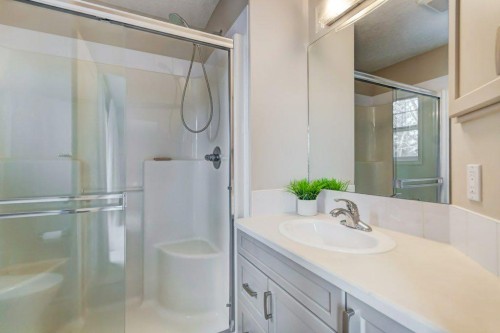 105 Inglewood Grove Se, Calgary, AB - Indoor Photo Showing Bathroom