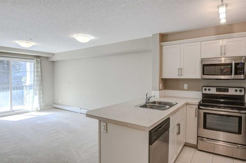 2217-130 Panatella Street Nw, Calgary, AB - Indoor Photo Showing Kitchen With Double Sink