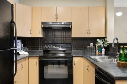 4104-10 Prestwick Bay Se, Calgary, AB - Indoor Photo Showing Kitchen With Double Sink