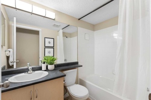 4104-10 Prestwick Bay Se, Calgary, AB - Indoor Photo Showing Bathroom