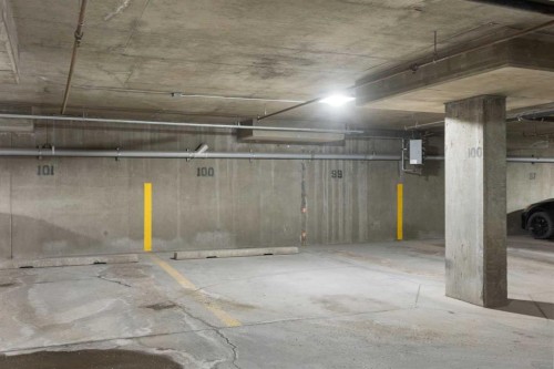 4104-10 Prestwick Bay Se, Calgary, AB - Indoor Photo Showing Garage