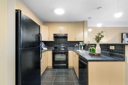 4104-10 Prestwick Bay Se, Calgary, AB - Indoor Photo Showing Kitchen With Double Sink