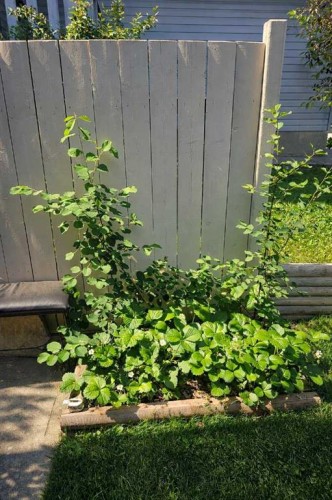 9 Hidden Valley Crescent Nw, Calgary, AB - Outdoor