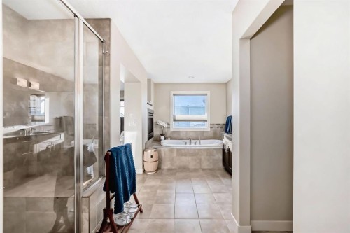 4 Auburn Sound Court Se, Calgary, AB - Indoor Photo Showing Bathroom