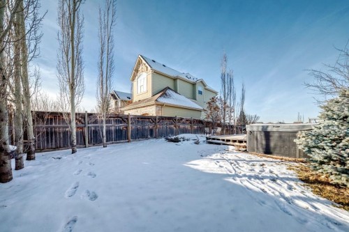 4 Auburn Sound Court Se, Calgary, AB - Outdoor