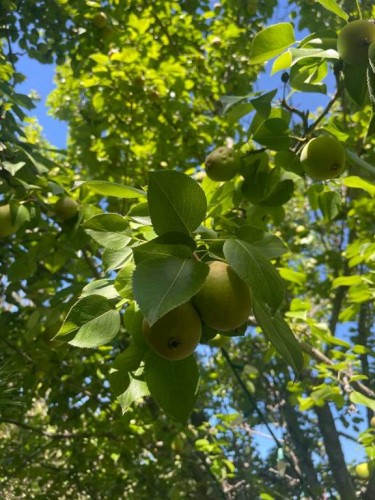 7 Mountain Park Circle Se, Calgary, AB - Outdoor With View