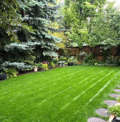 188 Millrise Drive Sw, Calgary, AB - Outdoor